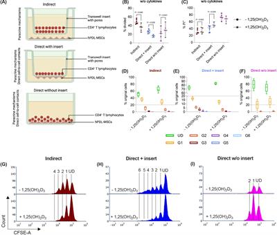 1,25-dihydroxyvitamin-D3 distinctly impacts the paracrine and cell-to-cell contact interactions between hPDL-MSCs and CD4+ T lymphocytes